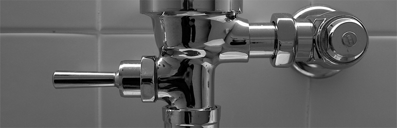 rewrite-flush-button