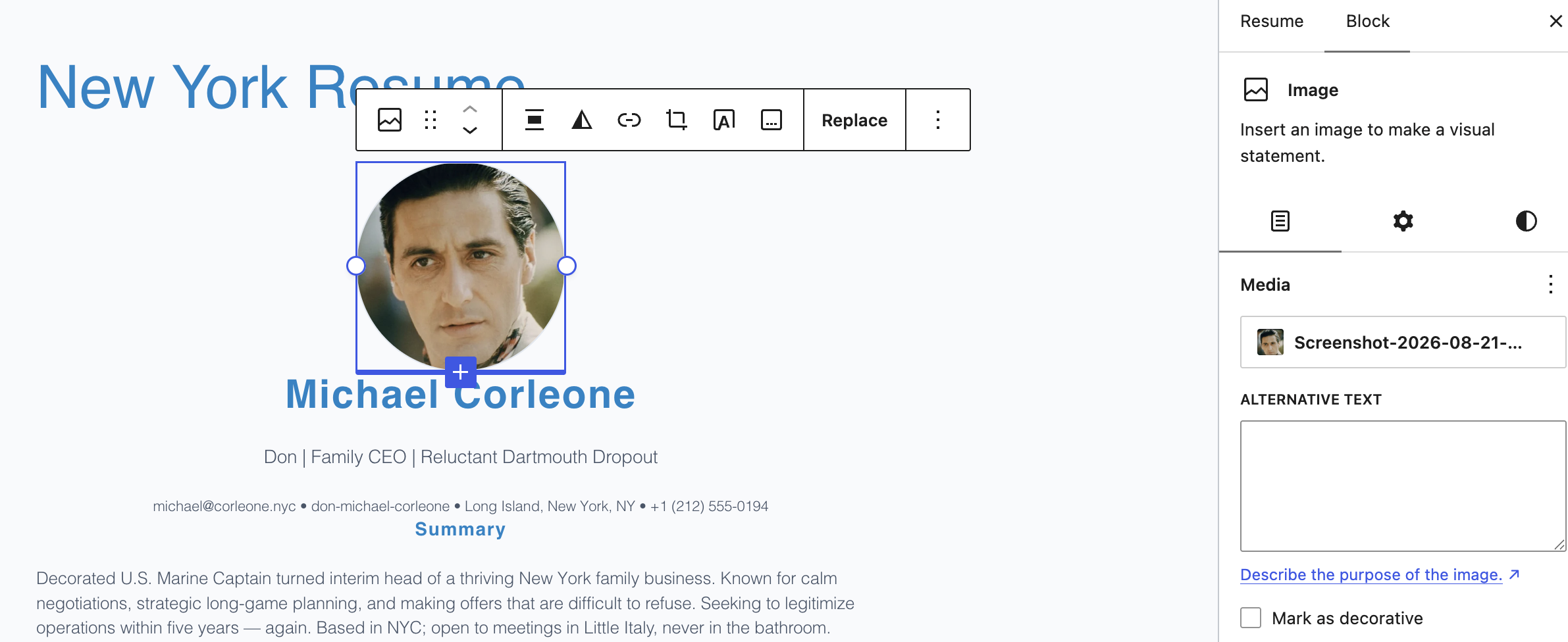 Rezicraft – Professional Resume &amp; CV Builder