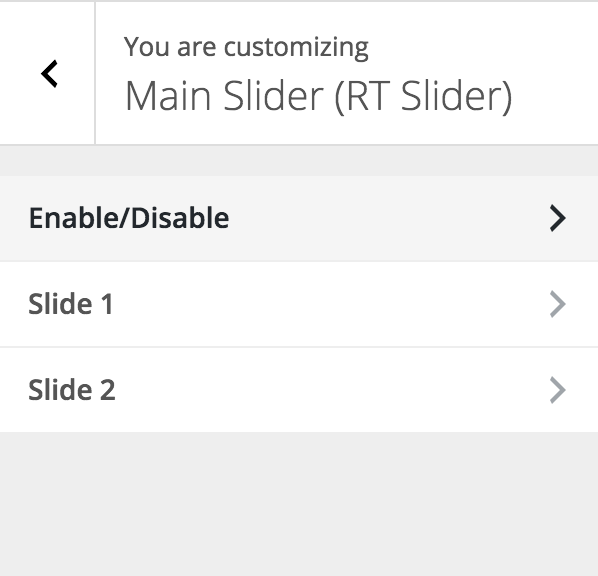 Appearance of the Plugin Section in Customizer.