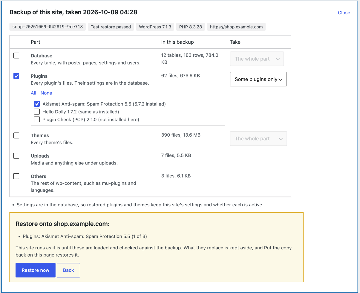 Restore & download: a backup opened, with each part's size and the WordPress and PHP versions. Some plugins only lists each plugin with the version in the backup beside the one installed, and the review says what will be replaced before anything starts.