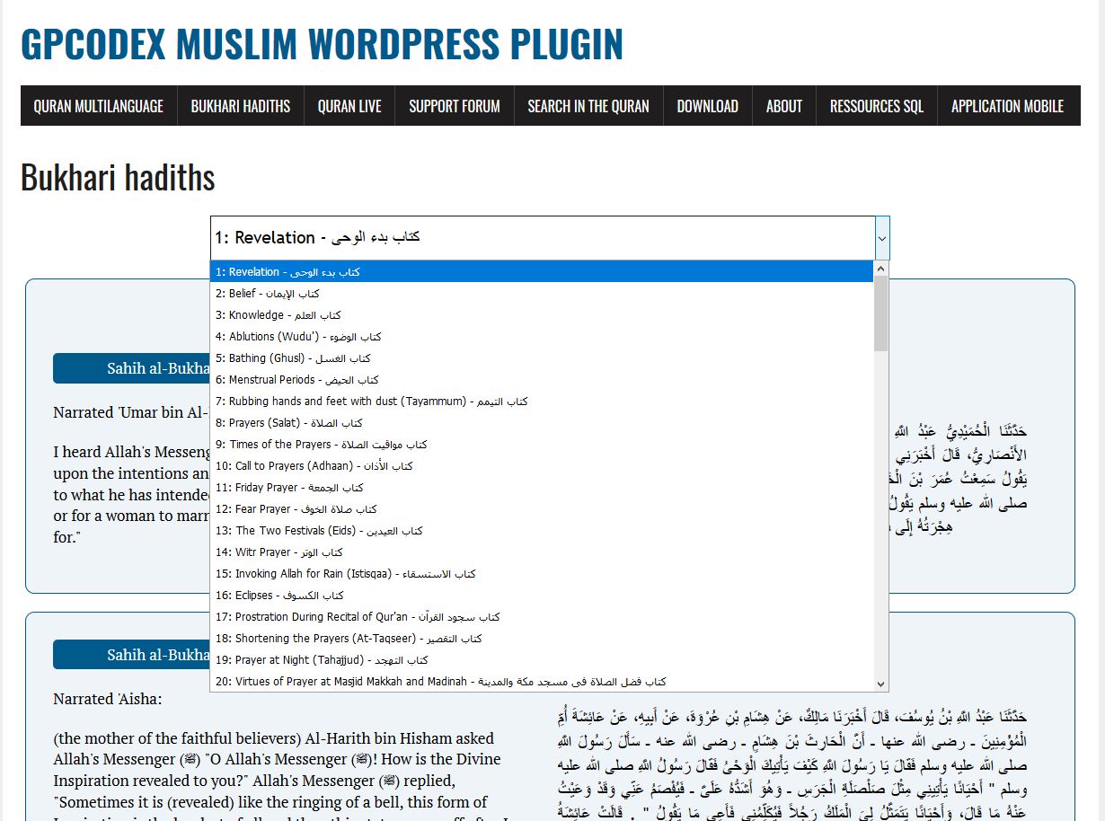 setting Bukhari hadith plugin http://gp-codex.fr/admin_hadith.jpg