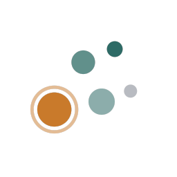plugin-icon