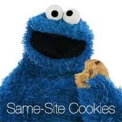 Logo Project SameSite Cookies