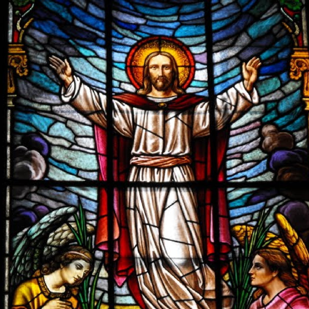 Santo do Dia
