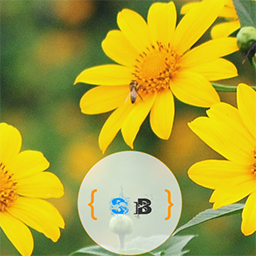 SB Banner Widget logo