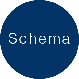 Schema Integration logo