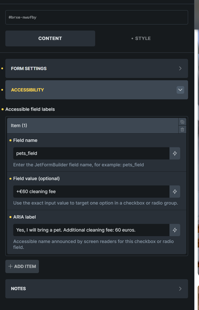 Accessible field labels for checkbox and radio options configured directly in the Bricks element.