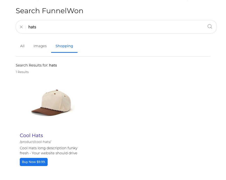 Results page, shopping tab: product-focused results when products are indexed (e.g. WooCommerce), respecting your ranking settings.