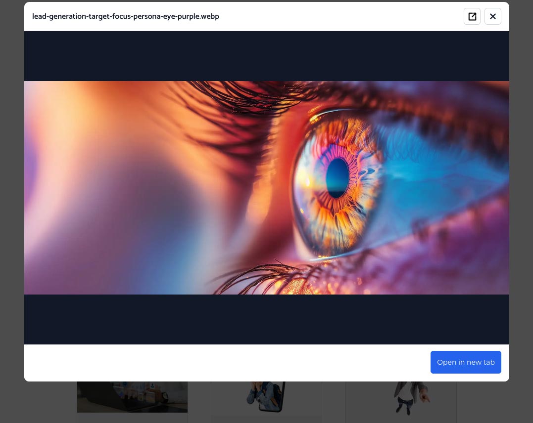 Results, image pop-up: larger preview of an image result without leaving search.