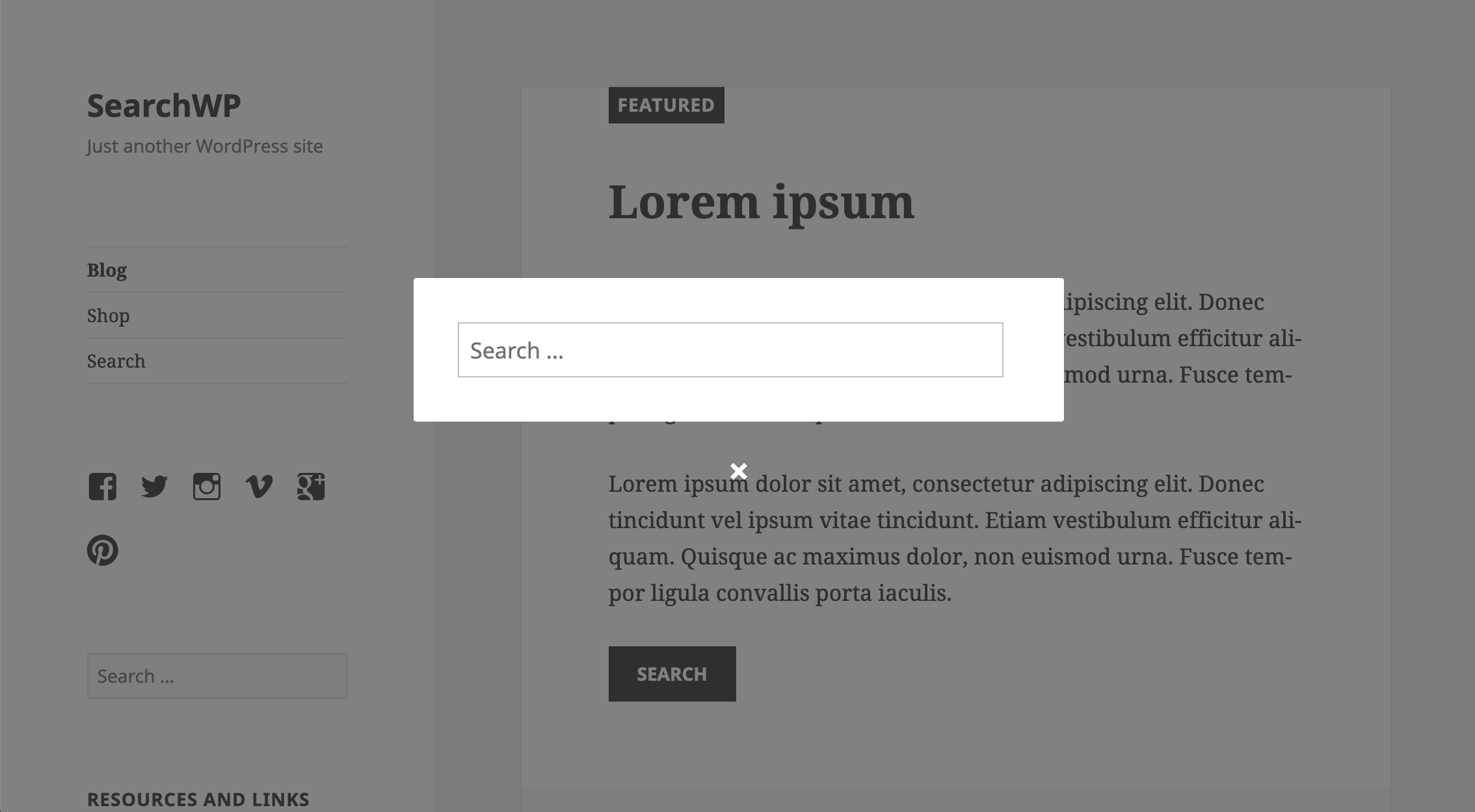 SearchWP Modal Search Form adapts to your theme