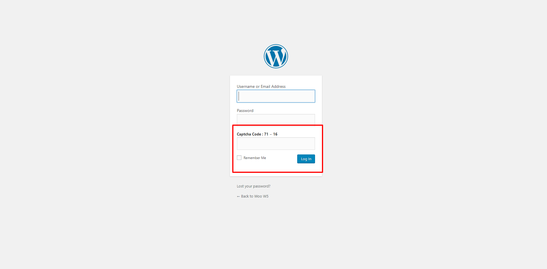 Login Screen View