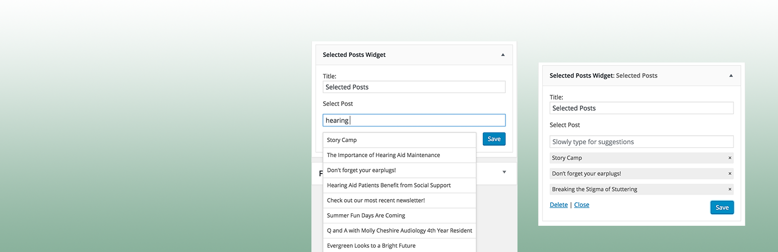 Selected Posts Widget