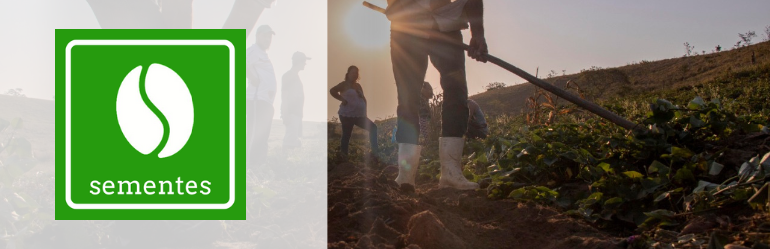 Sementes – Sistema de Cestas Agroecológicas e de Grupos de Consumo Responsável