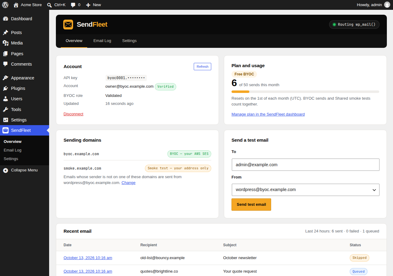 The overview: account, plan usage, verified sending domains and a test email.
