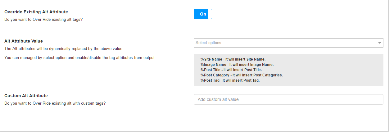 SEO Image ALT Settings