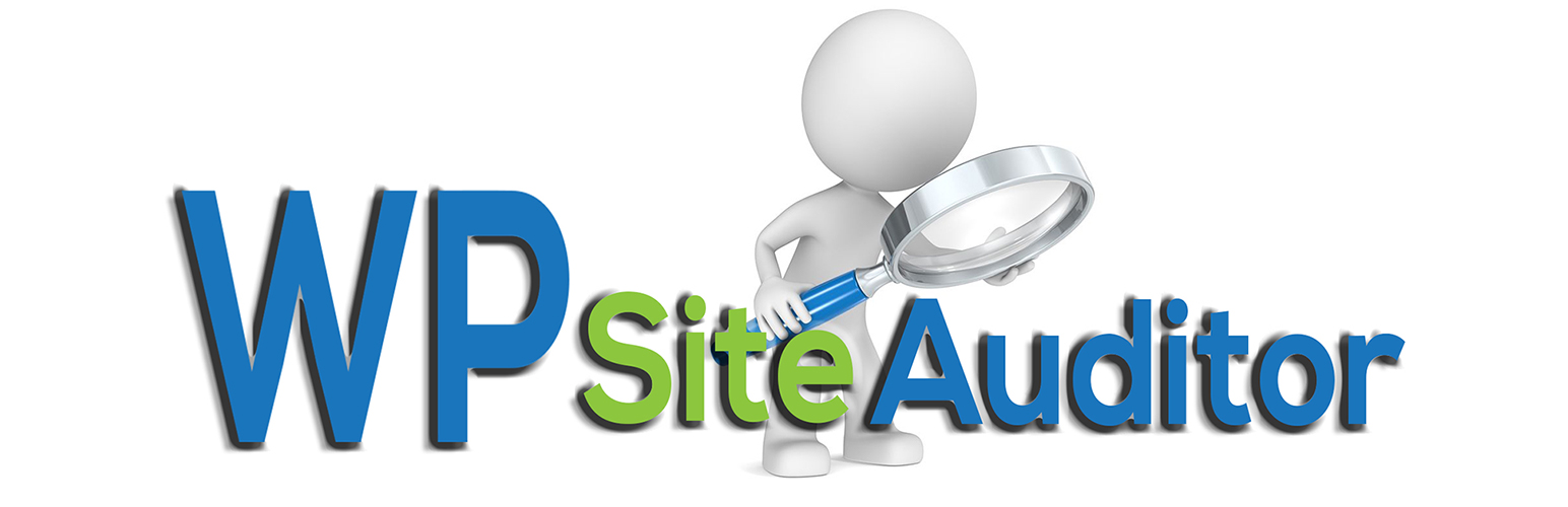 SEO Audit – WP Site Auditor