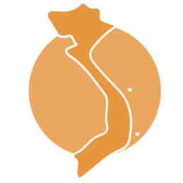 SEOLAT Tool Plus logo
