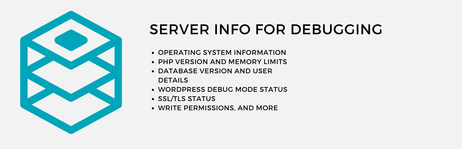 Server Info for Debugging