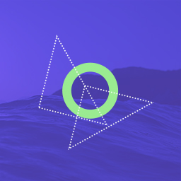Shapely Companion logo