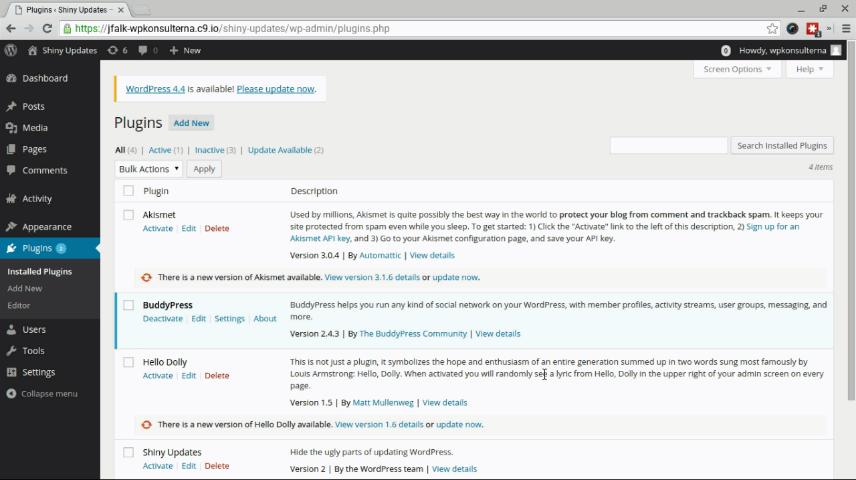Existing plugin install process, showing The Bleak Screen of Sadness.