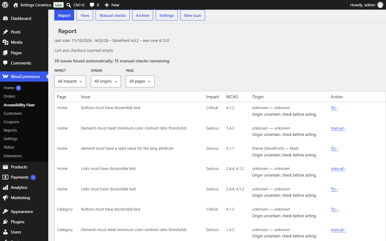 Report — every issue found across the six scanned pages, with severity, likely origin, and whether a fix is available.