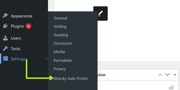 Plugin settings path
