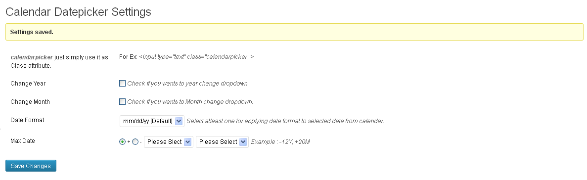 Screenshot Available options under settings -> Calendar Datepicker menu.