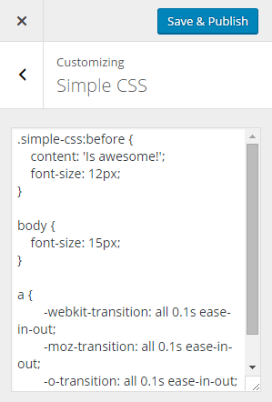 The CSS editor in the Customizer.