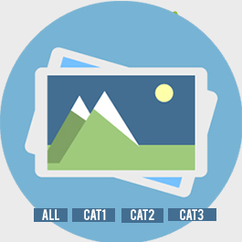 Simple Gallery with Filter logo