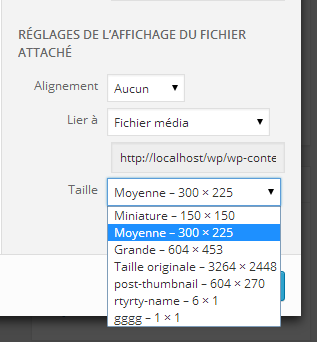 Simple Image Sizes