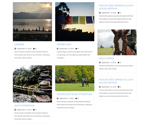 Screenshot displaying Simple Masonry Layout of Posts