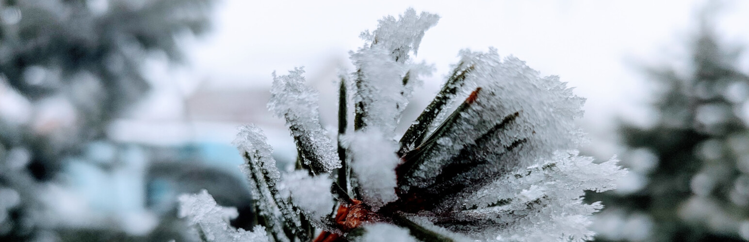 Simple SEO Improvements