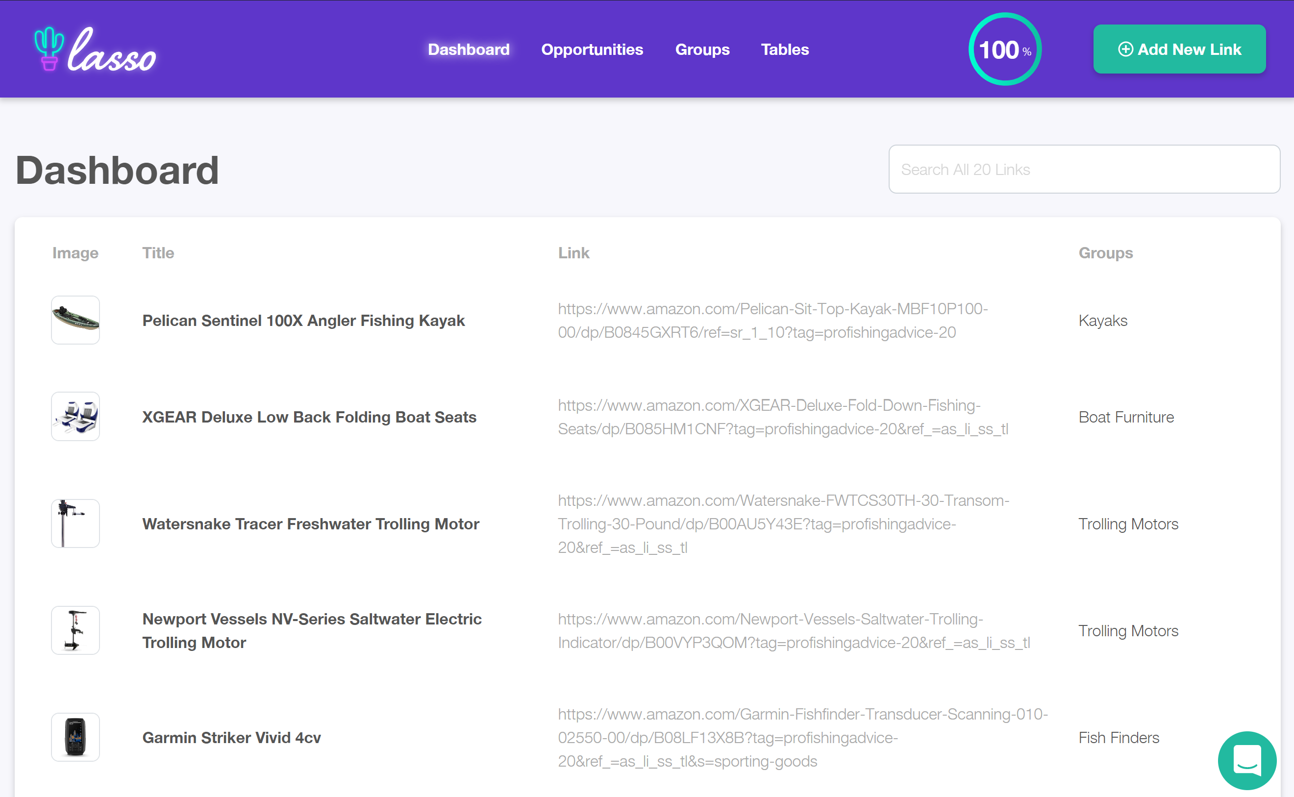 Lasso's Link Management Dashboard