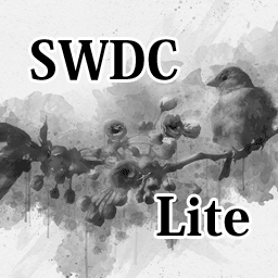 Simple widget display conditions Lite logo