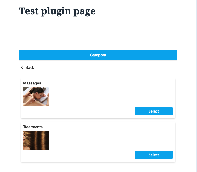 Booking process (Select category)