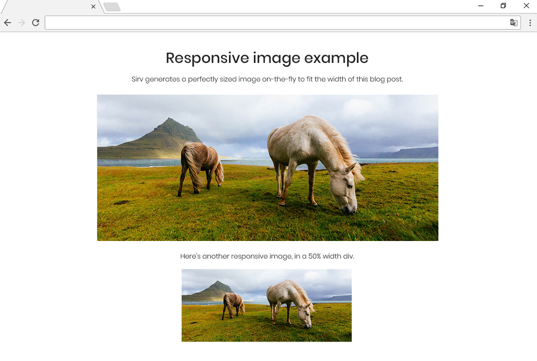 Embed perfectly sized images, scaled on-the-fly to suit each users screen.