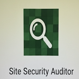 Site Security Auditor Icon