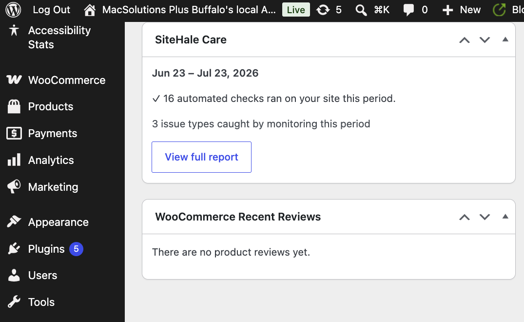The dashboard widget — latest care summary and the number of automated checks that ran on your site this period.