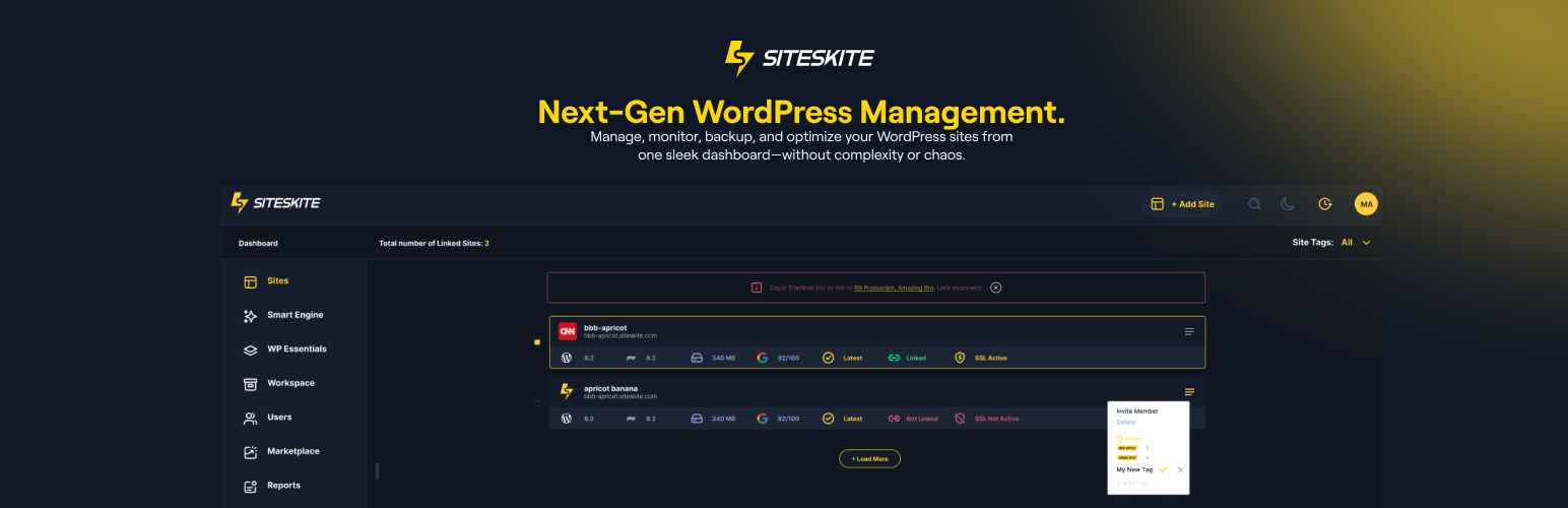 SiteSkite: Backup, Restore, Clone & Update multiple Sites