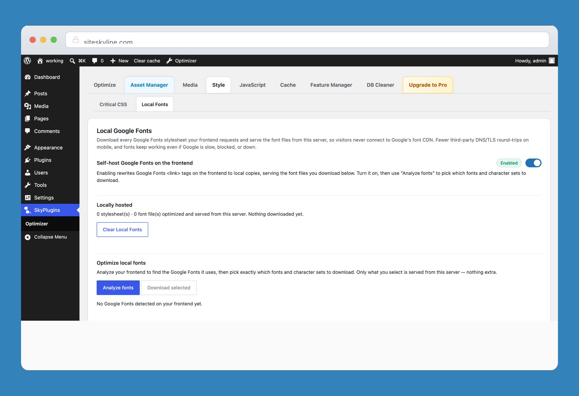 Local Google Fonts self-hosting with font analyzer and WOFF2 local download.