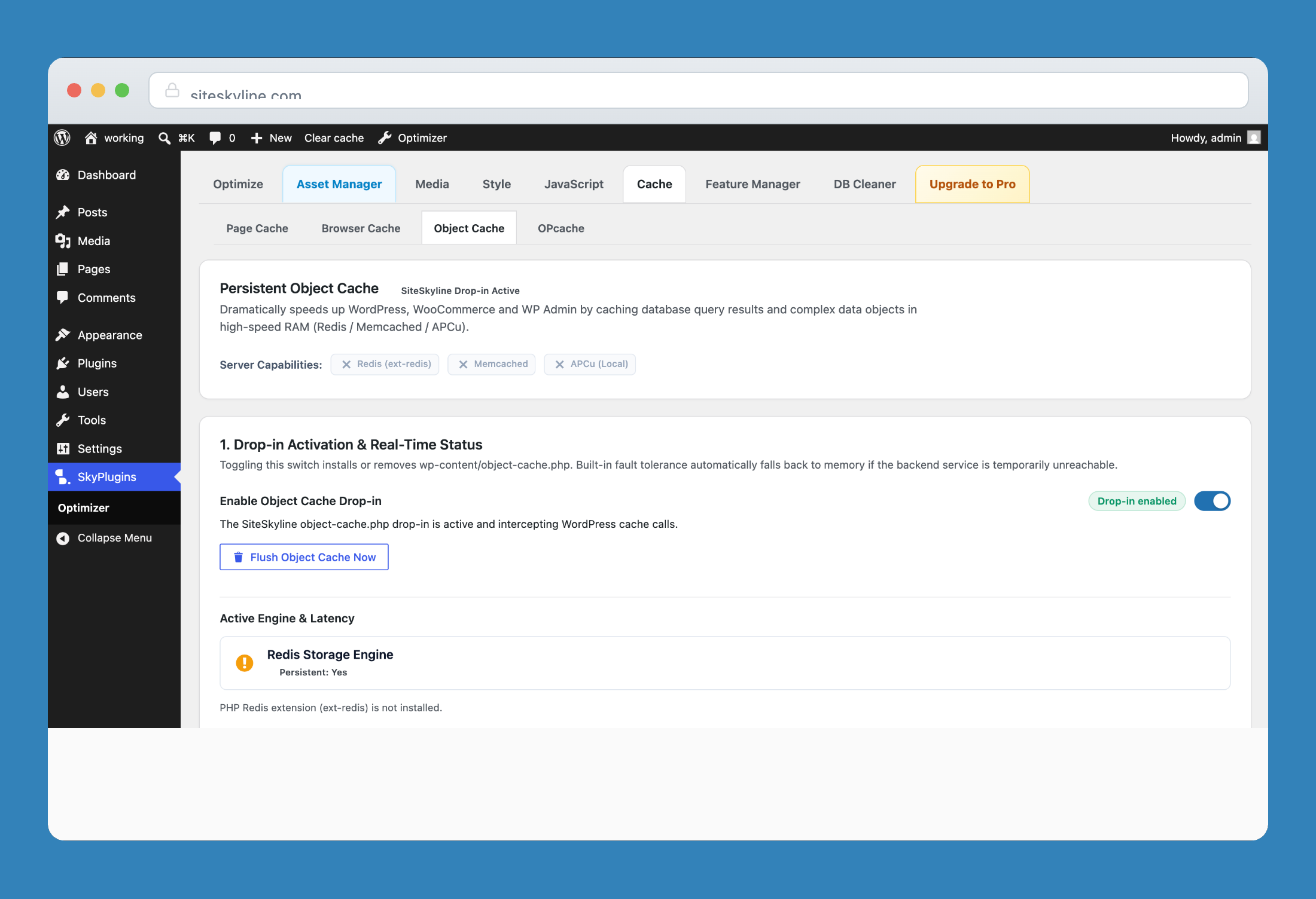 Persistent object cache drop-in activation and latency monitor.
