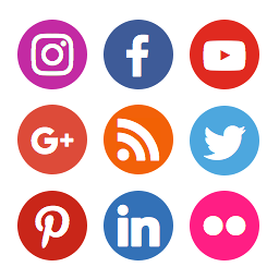 Skins for Social Media Feather logo