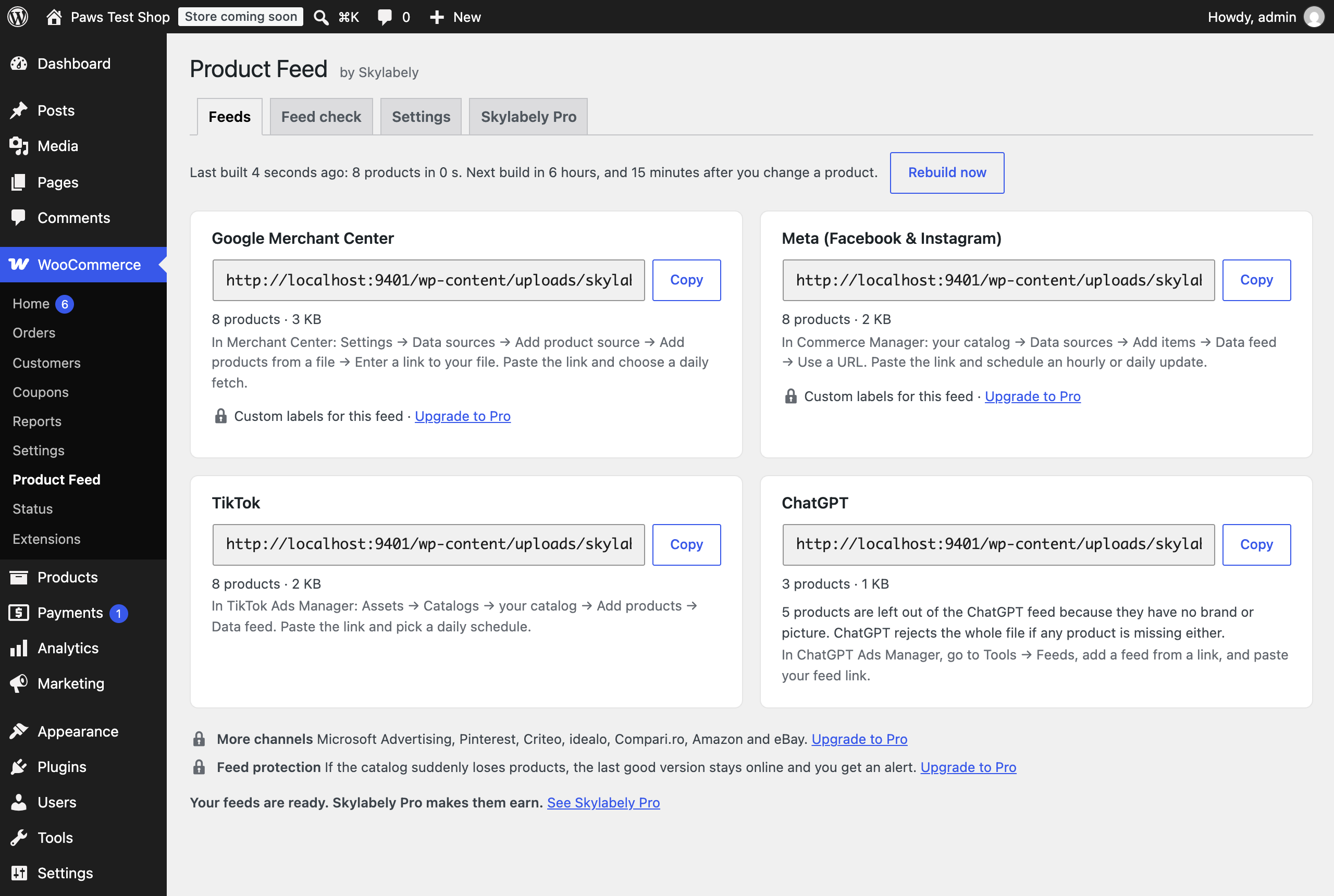 Feeds: four links for Google Merchant Center, Meta, TikTok and ChatGPT, with instructions on where to paste each one.