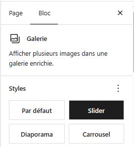Slider Galerie Native Responsive