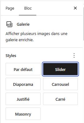 Sélection des styles "Slider", "Diaporama", "Carrousel", "Justifié", "Carré" et "Masonry" dans le bloc Galerie