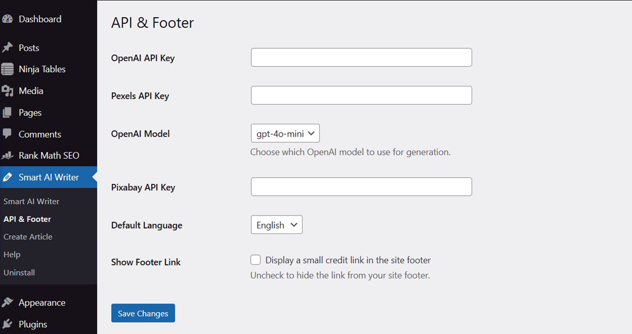 <strong>API & Footer Settings:</strong> Where to input API key and manage footer credit options.