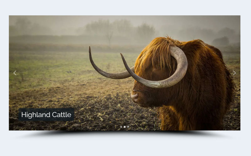 Explore our FREE Thumbnail Image Slider – a visually engaging addition to your website.