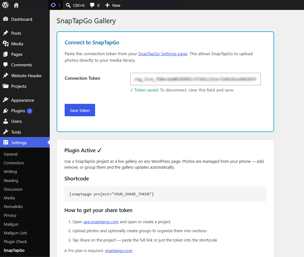 WordPress admin settings panel — connection token, layout and group label customization