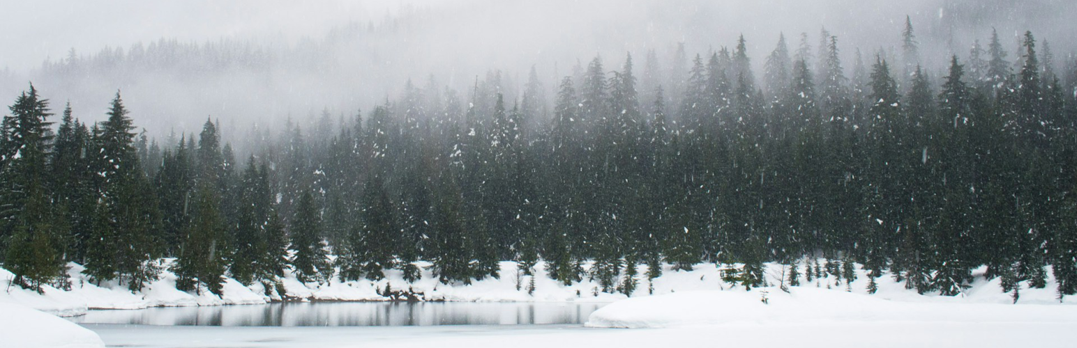 WordPress 外掛 Snow Fall 的封面圖片。