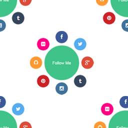 Social Flyer logo